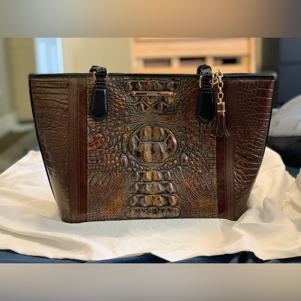 Brahmin Medium Asher Fall Tortoise Cosimo